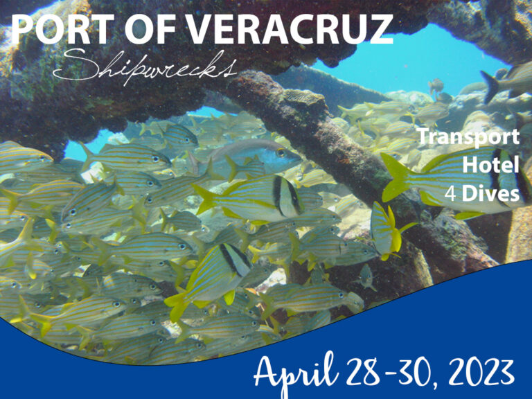 Veracruz SCUBA Diving