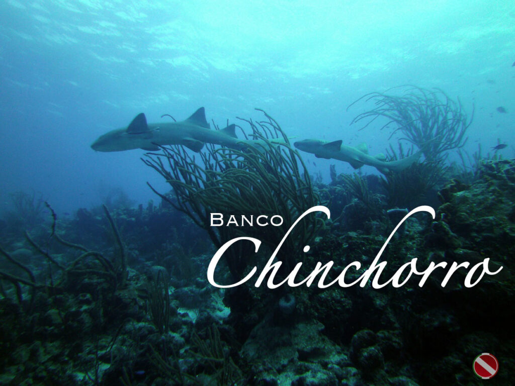 Banco Chinchorro