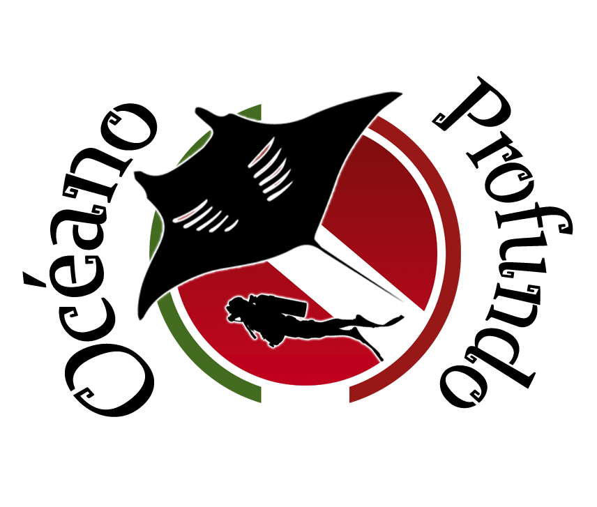 Cursos de Buceo CDMX – Océano Profundo