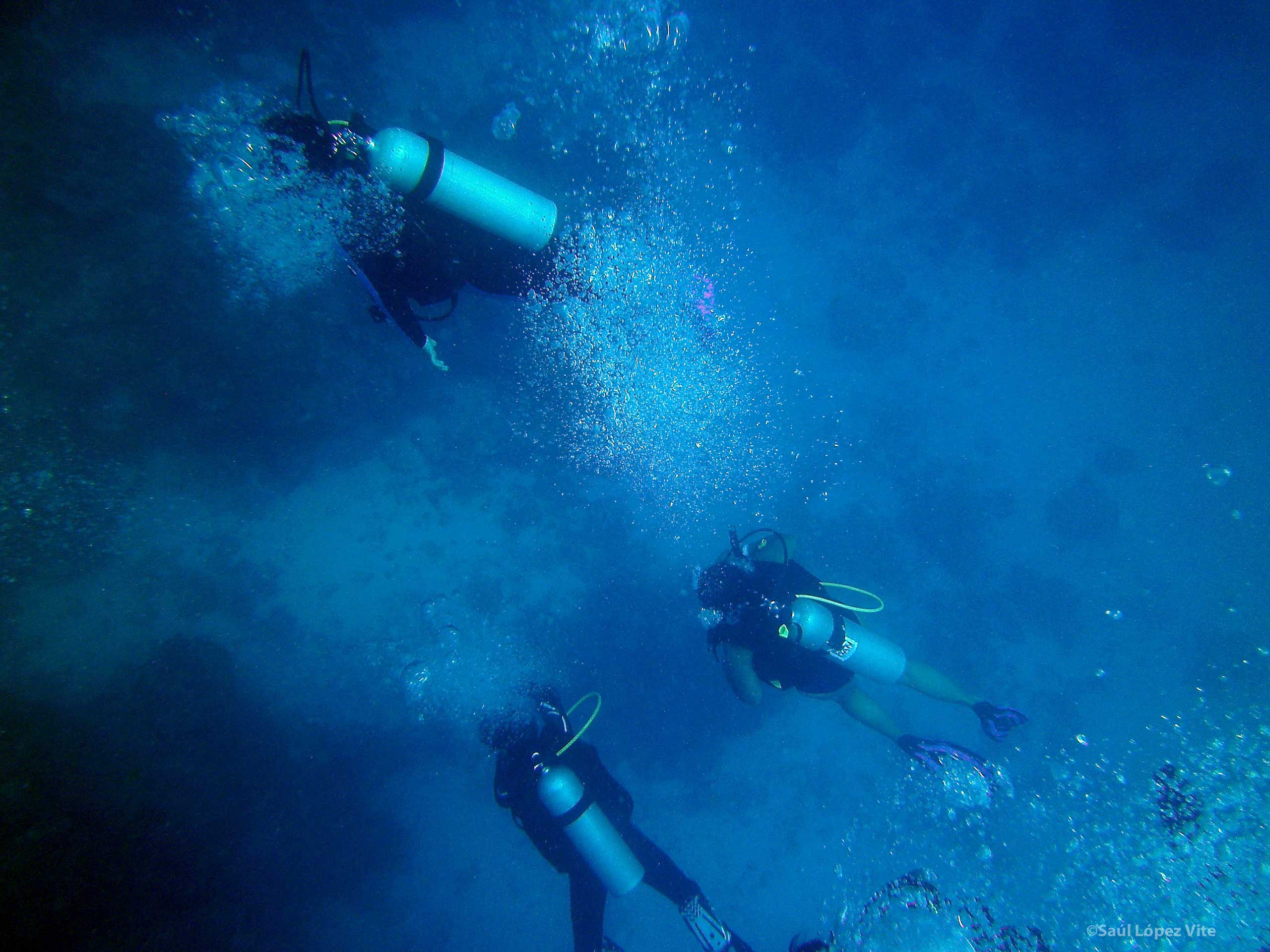 Instructor de buceo