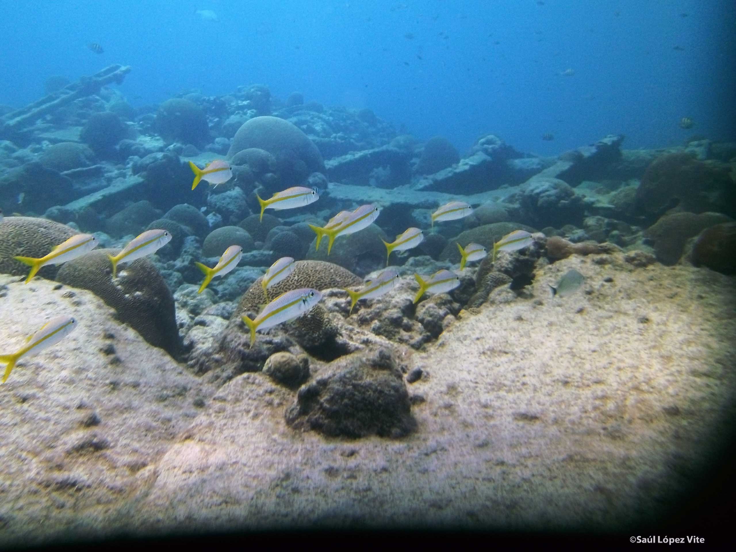 Práctica de buceo
