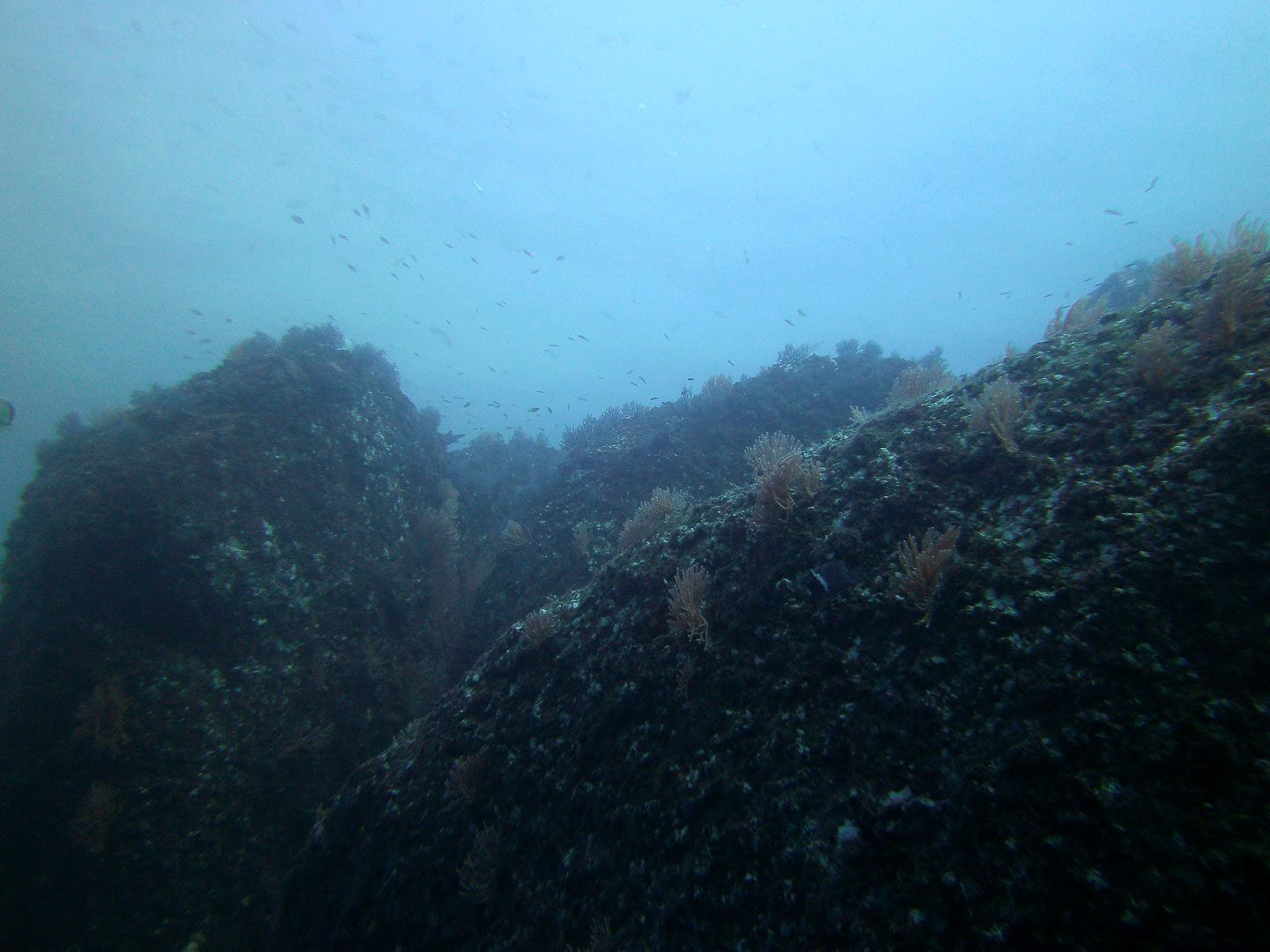Rocky wall, one of the evaluation profiles