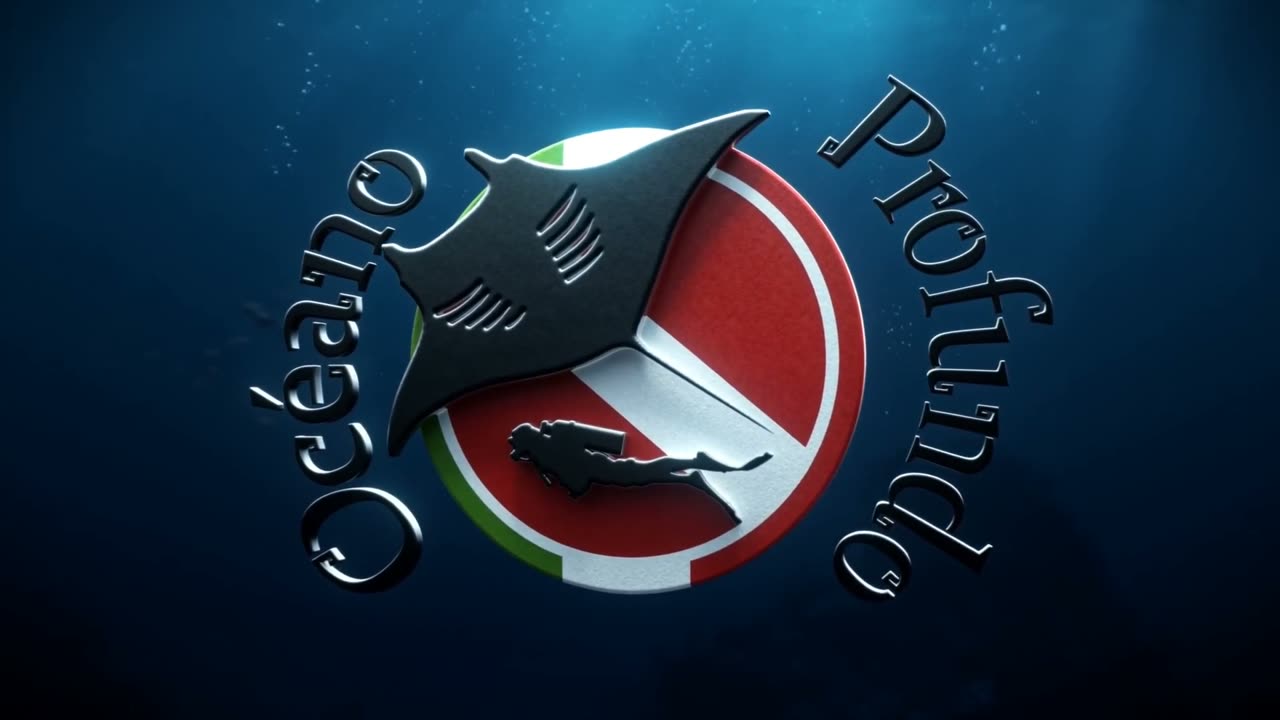 Animación del logo de Océano Profundo: un cardumen se arremolina bajo el agua hasta formar el logo de la escuela.