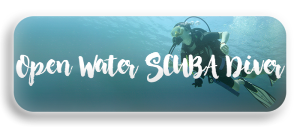 Open Water SCUBA Diver NAUI - Océano Profundo